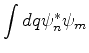 $\displaystyle \int dq \psi_n^* \psi_m$